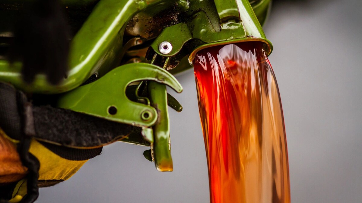    Фото: Christina Hemsley/Shutterstock/Fotodom