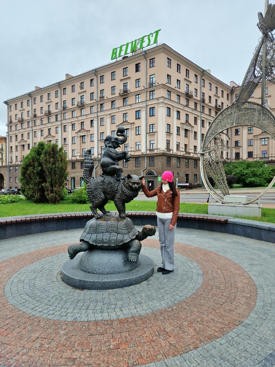 Кот, черепаха и слон-жонглер. Слева от меня цирк