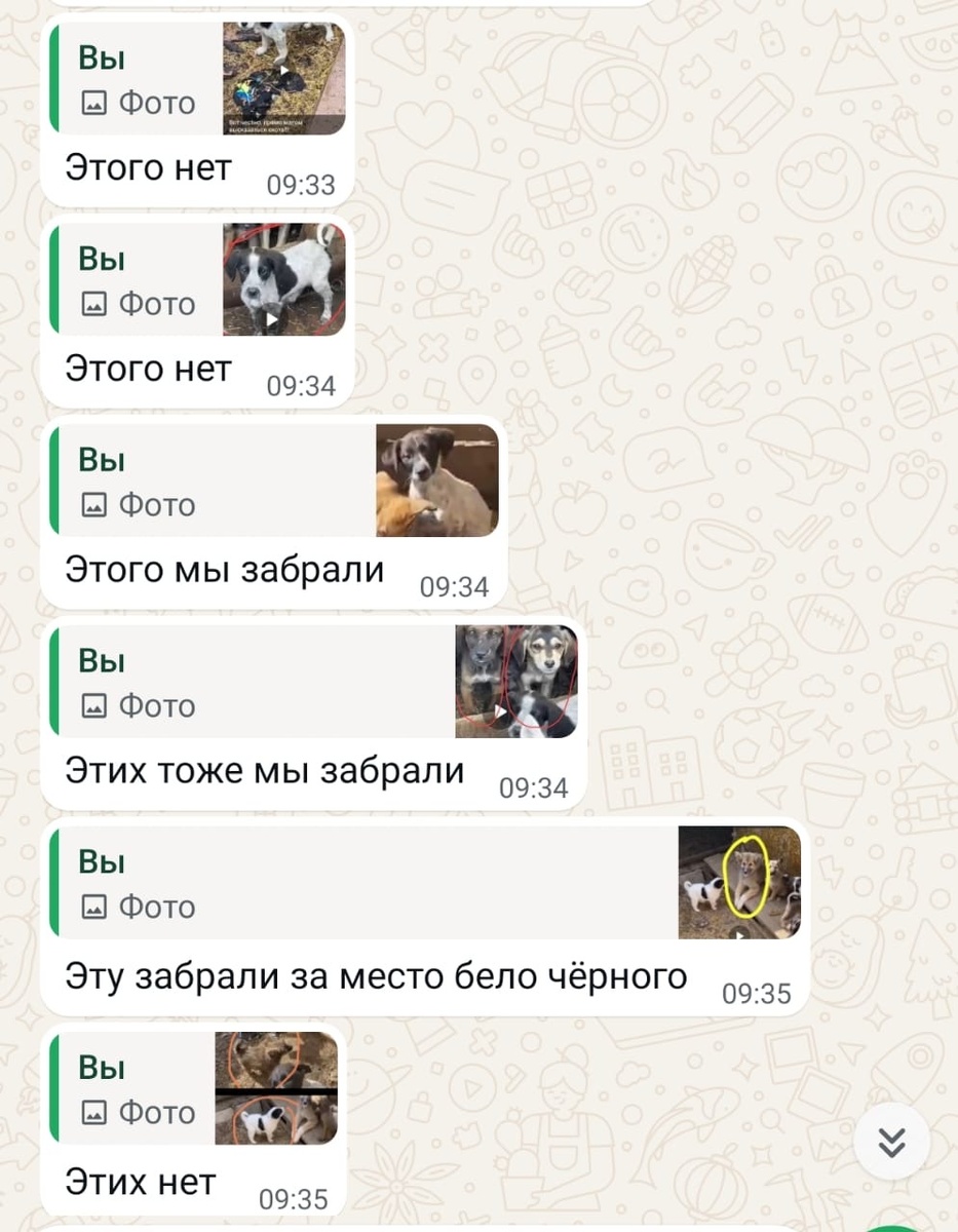 Это Олеся прислала Ане🥺