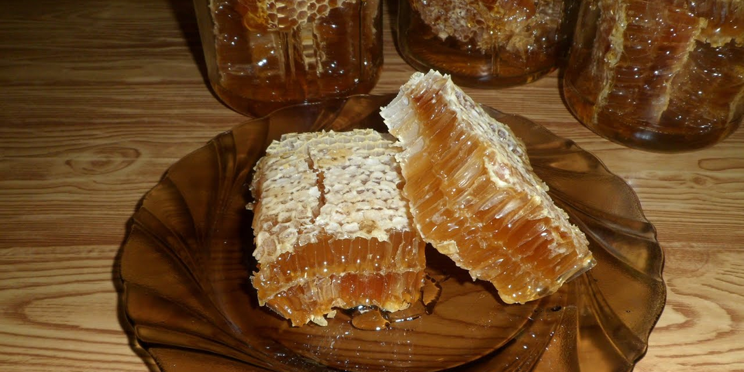 Как пчёлы делают мёд? Этот детский вопрос сломает мозг даже взрослому! И вот почему