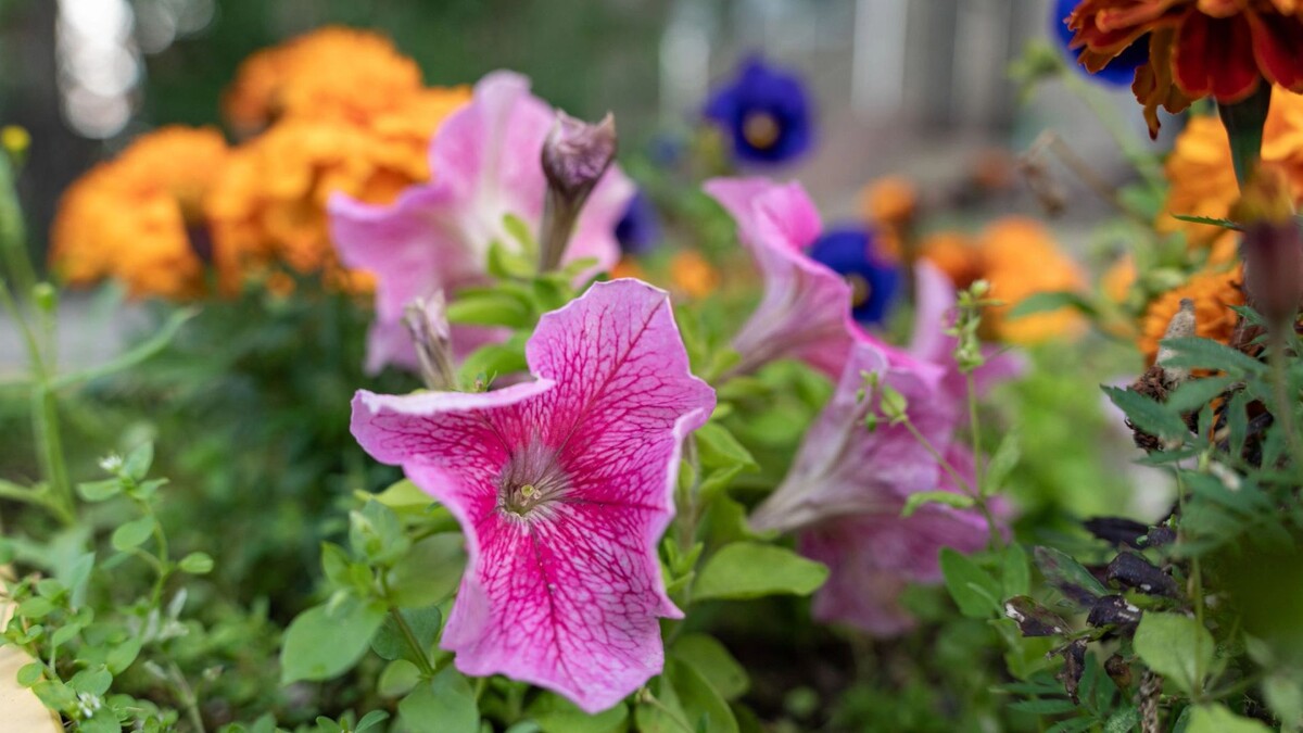    Фото: Сергей Зубков/«Ямал-Медиа»
