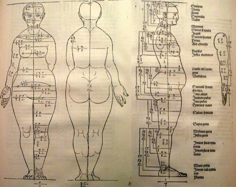 Расчеты и чертежи Дюрера