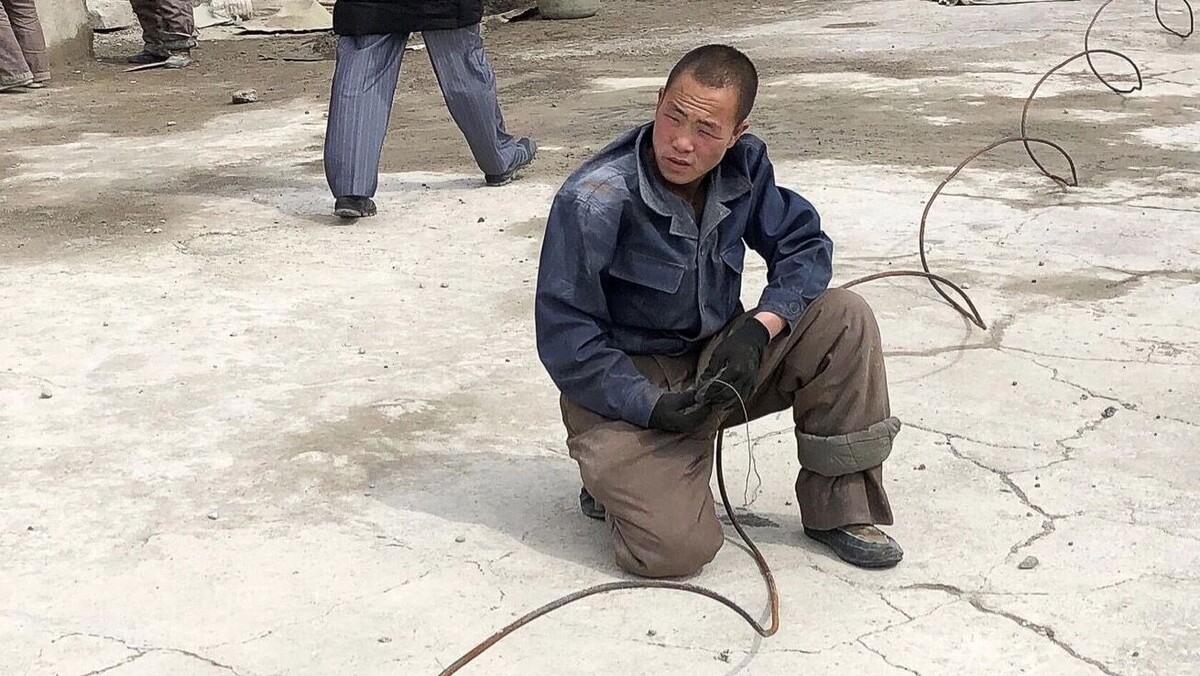 Рабочие из КНДР работают по 12–16 часов в сутки и отдыхают только один день в неделю. Фото: ТАСС