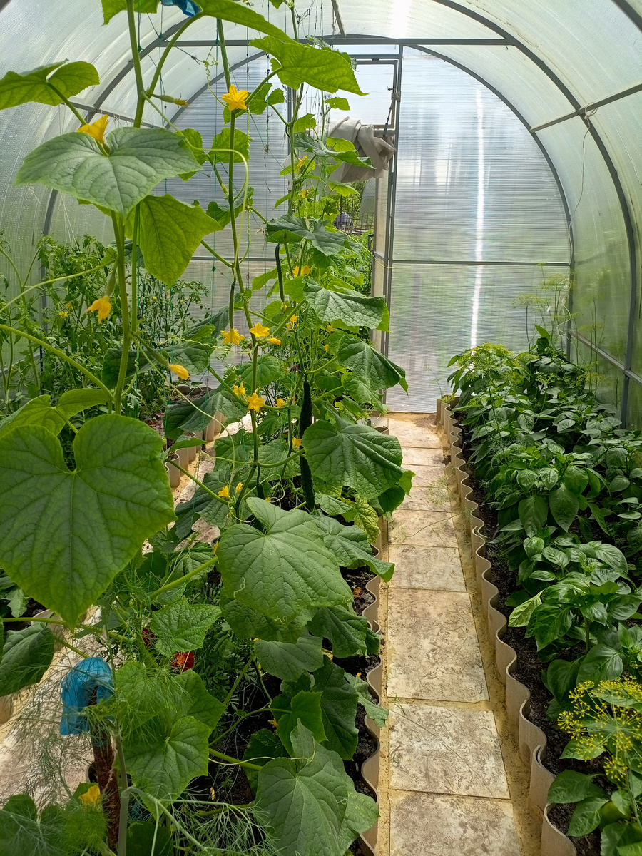 28 июня 2025 года