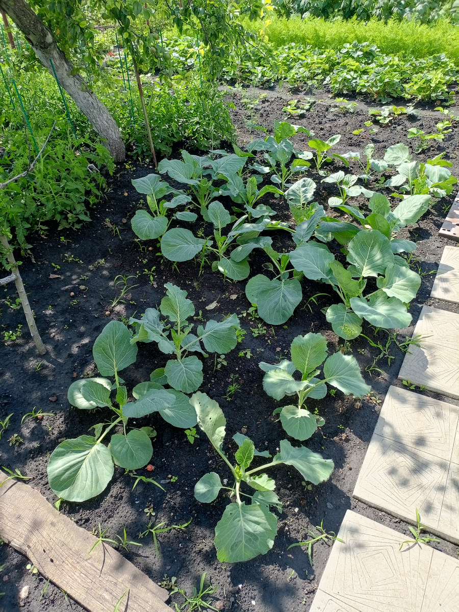 28 июня 2025 года