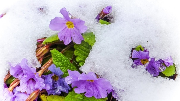 фото из открытых источников, использовано в иллюстративных целях