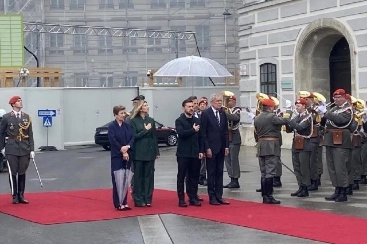    Соскин: саммиты Евросоюза и НАТО стали моментом унижения Зеленского