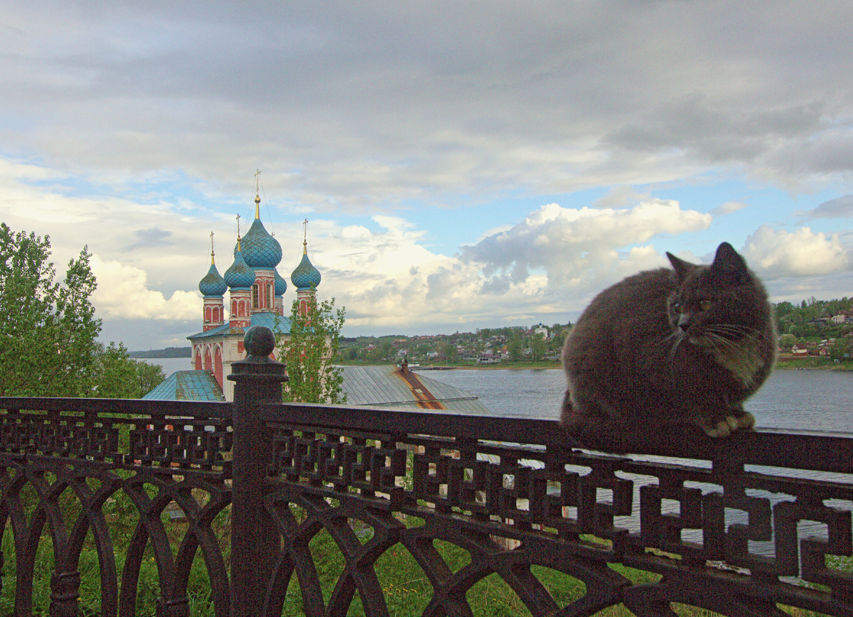 Городок Тутаев  бывший Романов-Борисогресбк раскинулся по берегам верхнего течения Волги. 