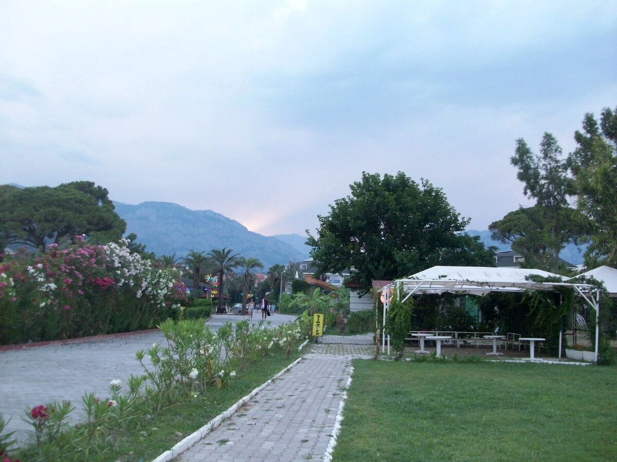 Горы, деревья и цветы в Чамиве