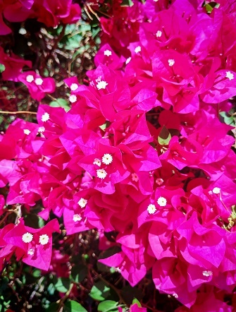 Фотография из личного архива автора