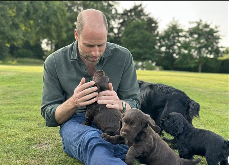 Принц Уильям на фото в день своего рождения с Орлой и щенками