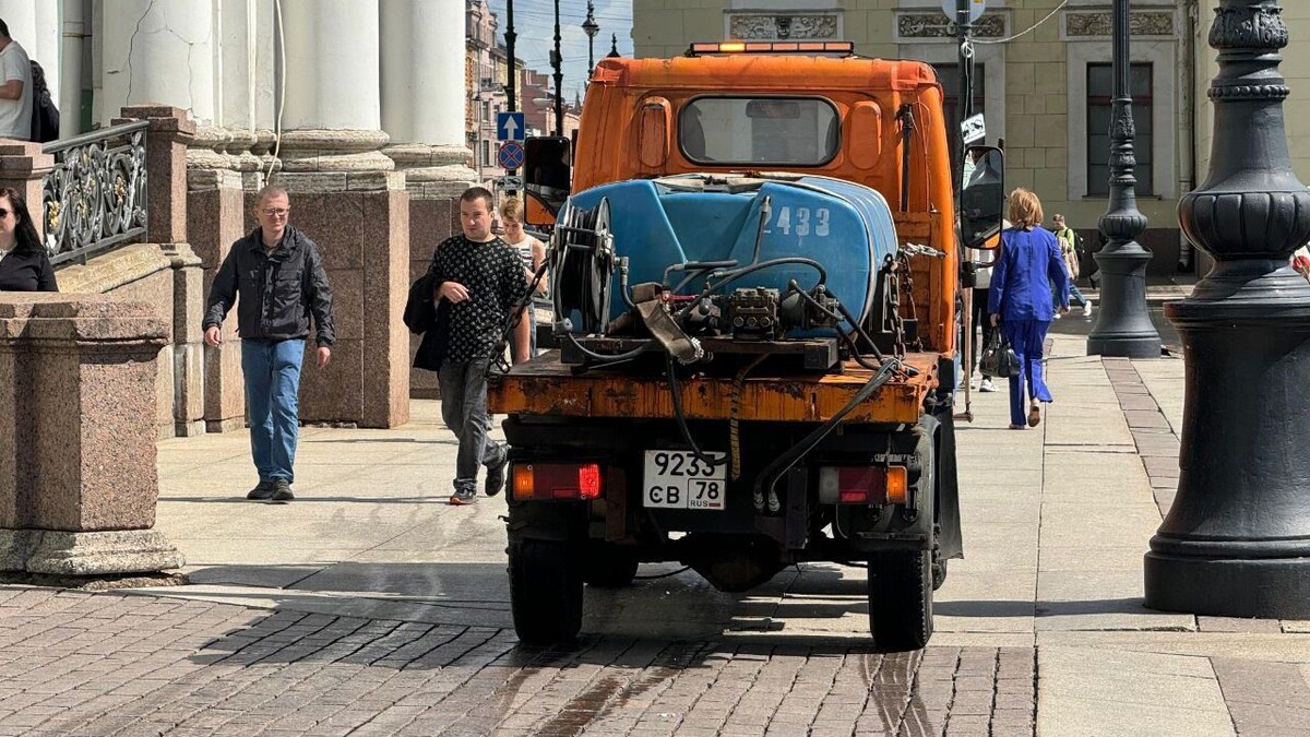     Автор: Telegram-канал председателя комитета по благоустройству Петербурга Сергея Петриченко