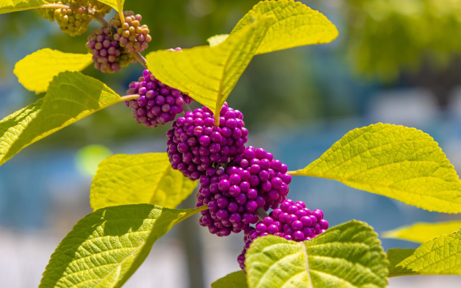 Источник фото: shutterstock.com