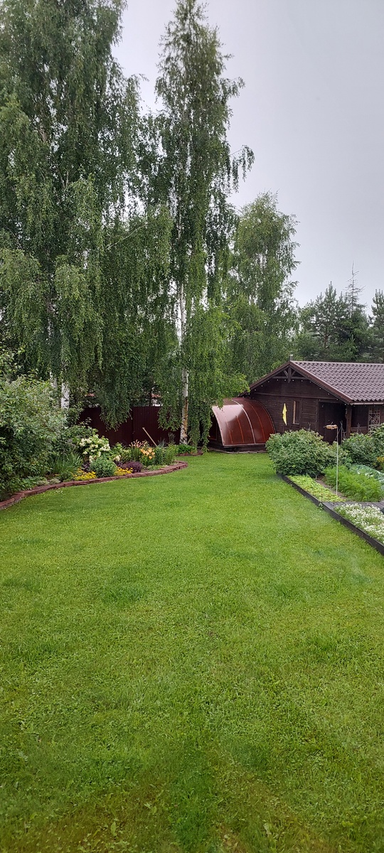 Лужайка счастлива. Мокро и тепло