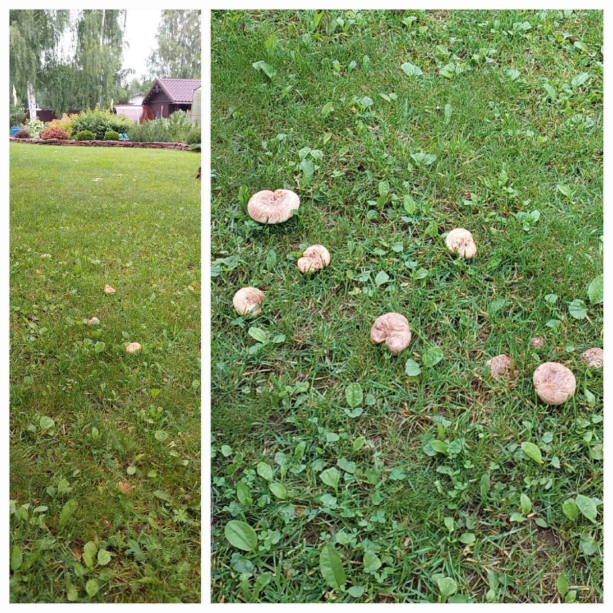 Такими группками оккупировали всю.