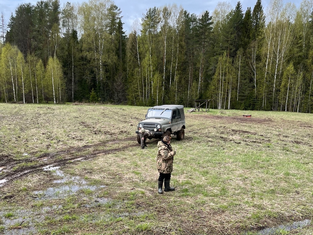    Грибников начнут отлавливать и штрафовать прямо в лесах: это суровое правило вводится с 30 июня