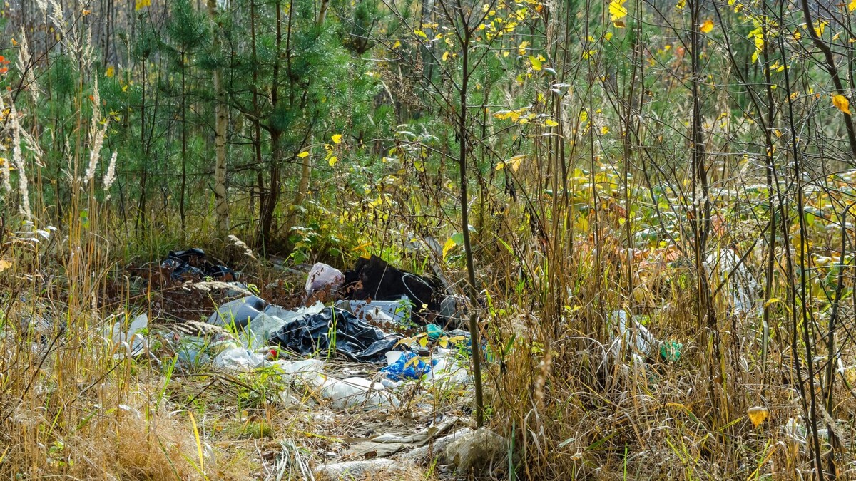    Фото: Helga_foto/Shutterstock/Fotodom