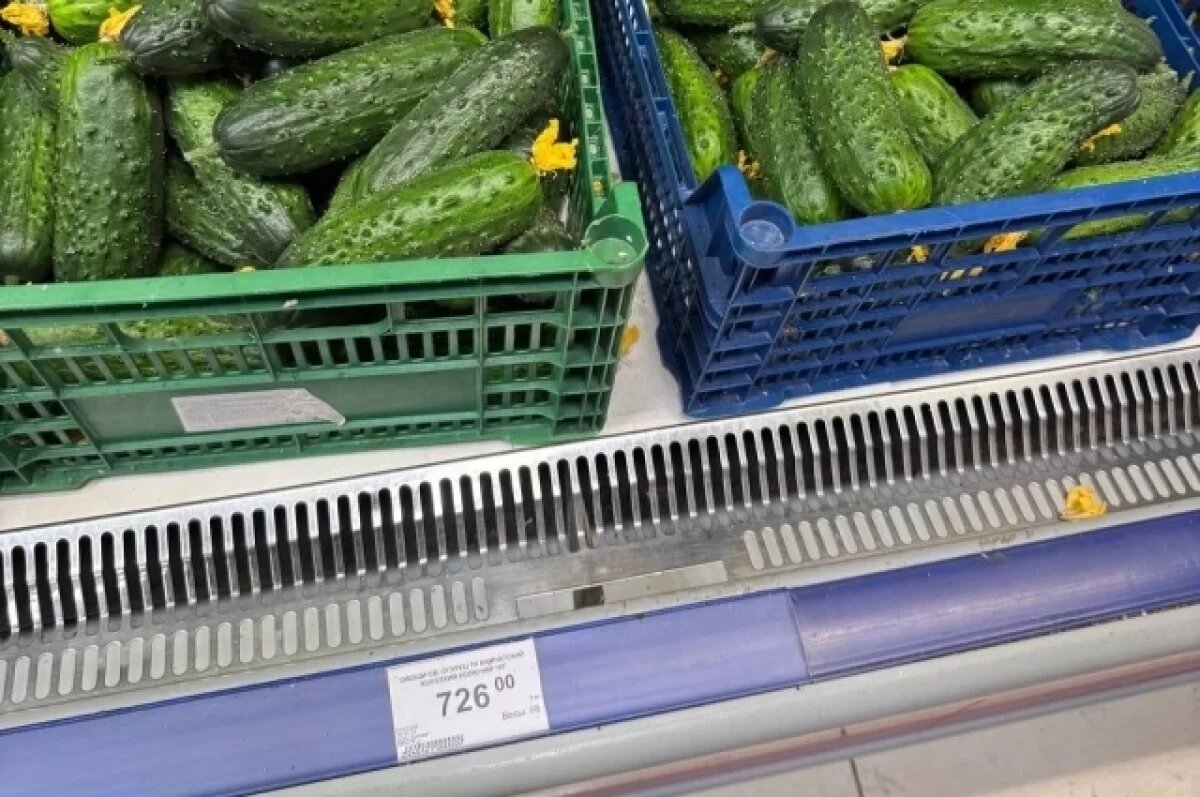    Тюменцам объяснили, что делать, если сохнут листья огурцов