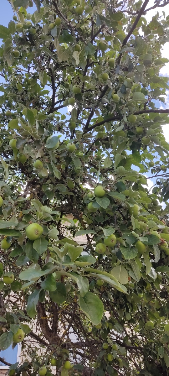 Фото по дороге на работу 