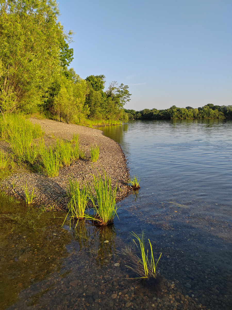 Вода в озере чистая и прозрачная 