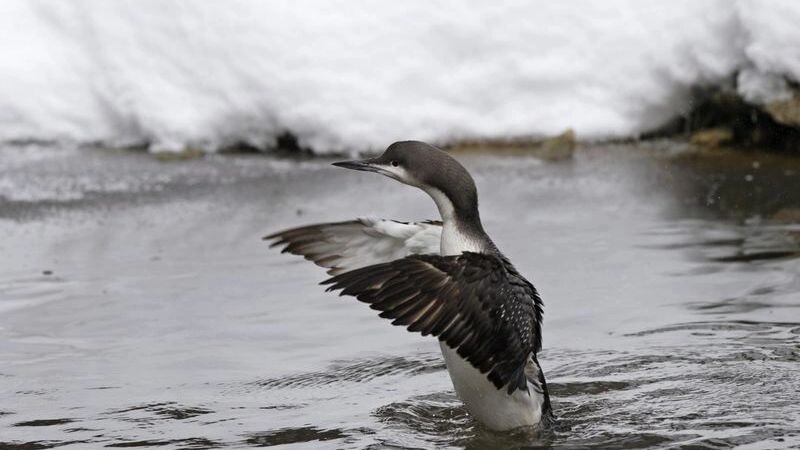    Фото: Bildagentur Zoonar GmbH / Shutterstock / Fotodom