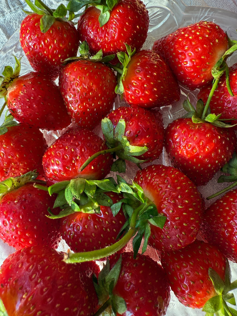 Купила отвратительно невкусную клубнику. Есть не могу. Может с сахаром в блендер?