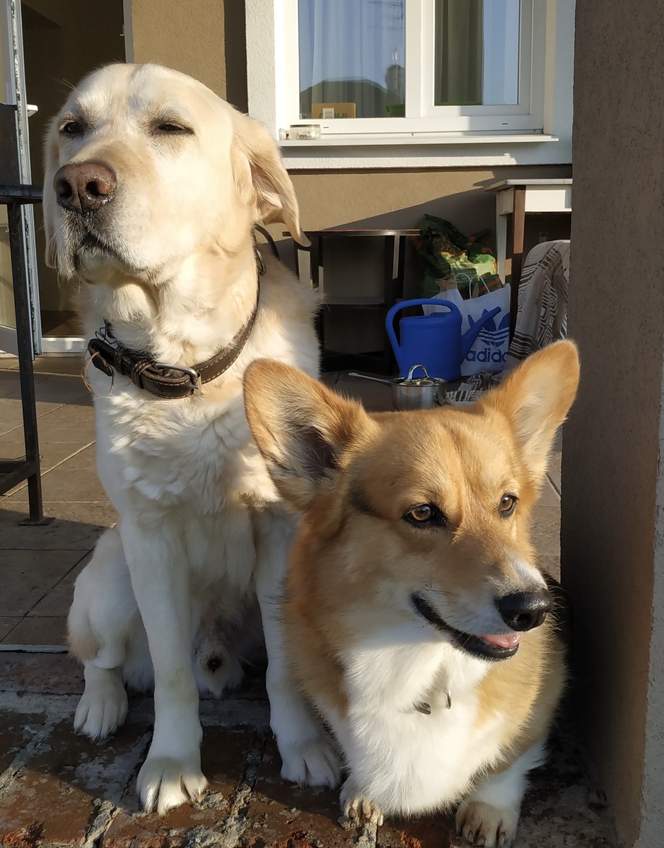 Мои две любимые плюши. Скучаю по Барнику каждый день🩷🩷🩷