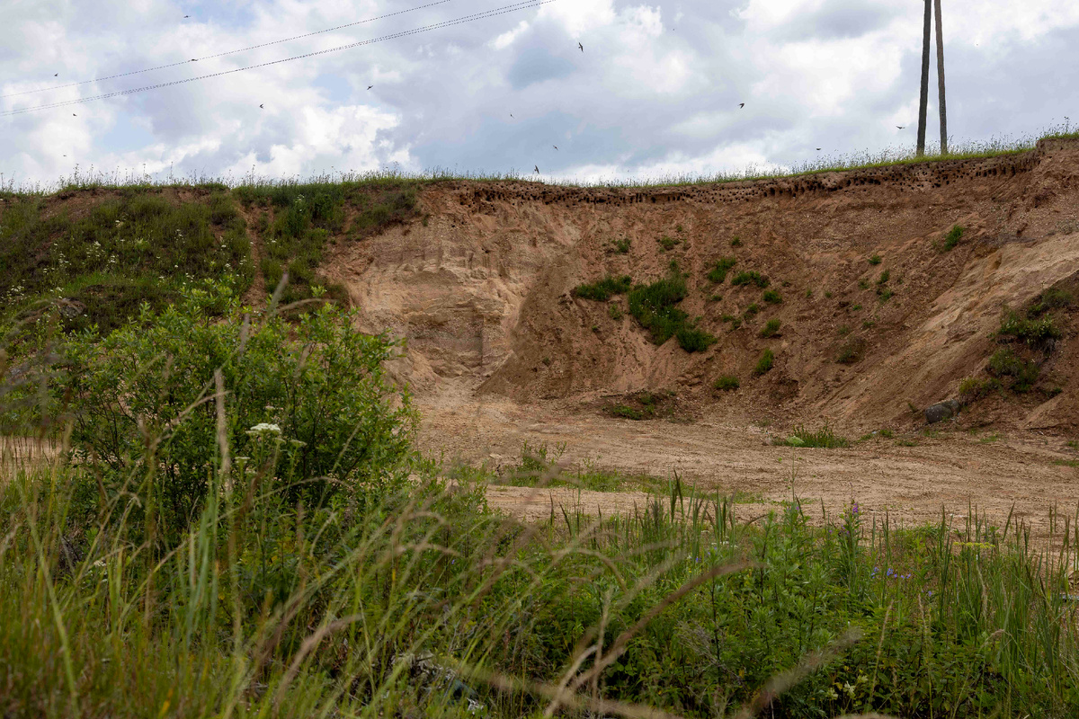 откос с ласточками