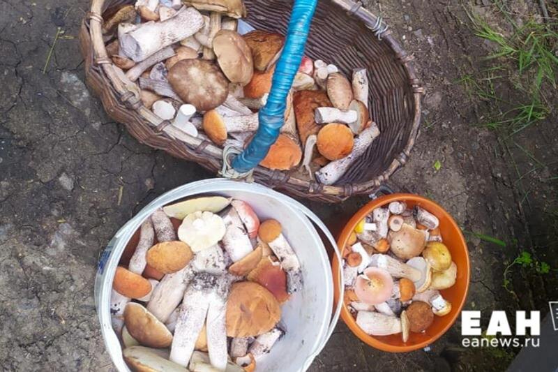    ЕАН / Архивное фото