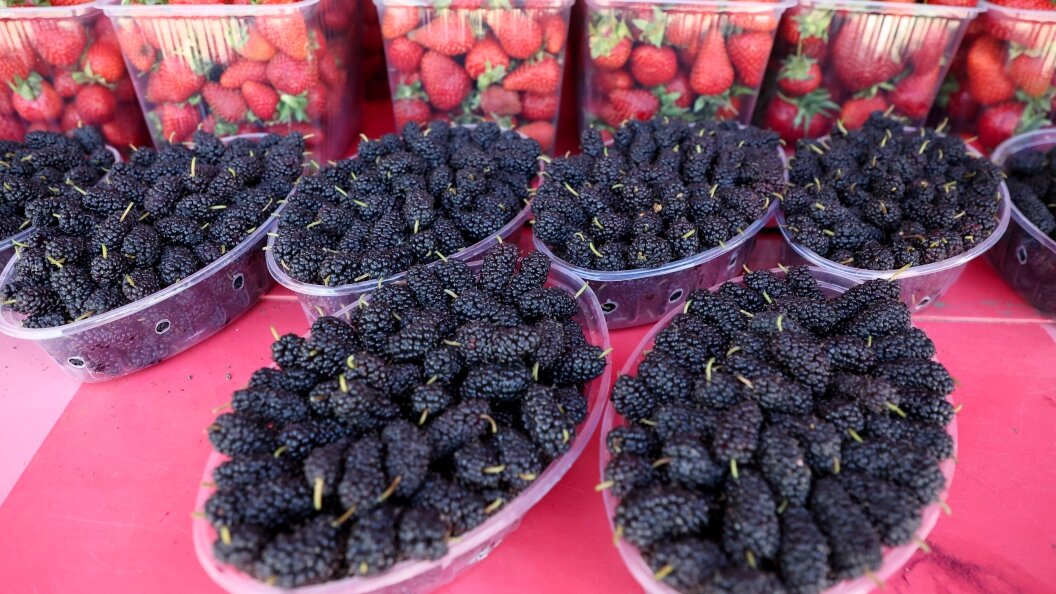    Фото: Belkin Alexey/Globallookpress