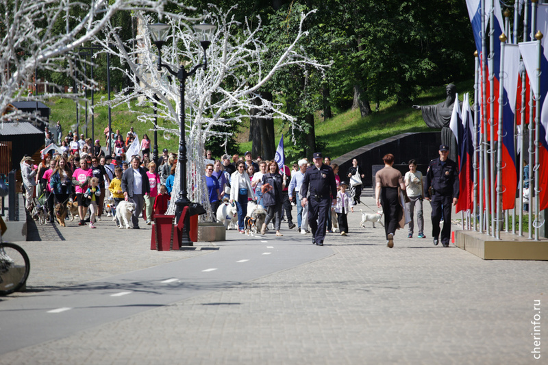    Фестиваль "Животные - не игрушки" состоялся на Соборной набережной у памятника городовому.