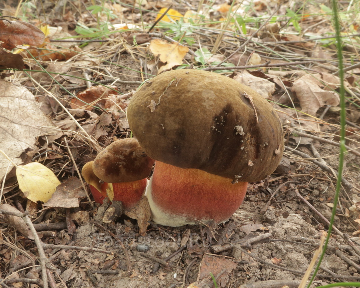 Неужели и это оставит равнодушным? (фото И.Лебединского)