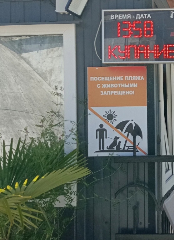 Запрет на вход с животными на пляжи Куба и Ласточка
