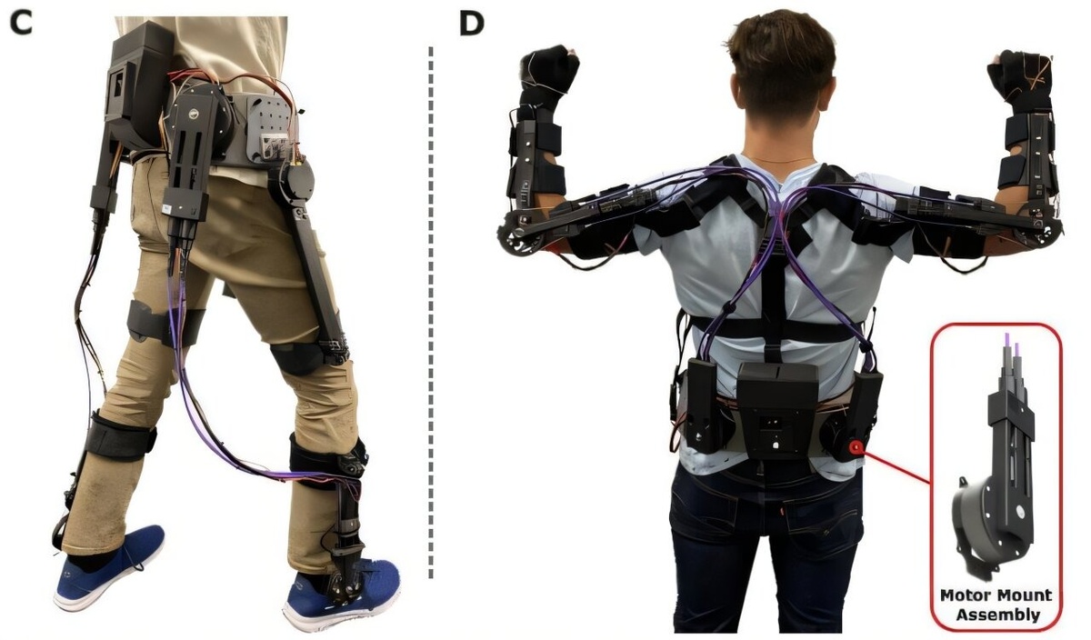 Различные конфигурации экзоскелета, работающие на программном обеспечении и архитектуре OpenExo.    
 Источник: Jack Williams et al  📷
