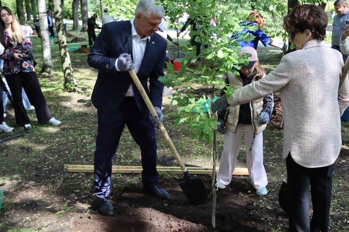    Акция «Дерево Победы» в Петрозаводске. Фото: "Республика"/Максим Смирнов
