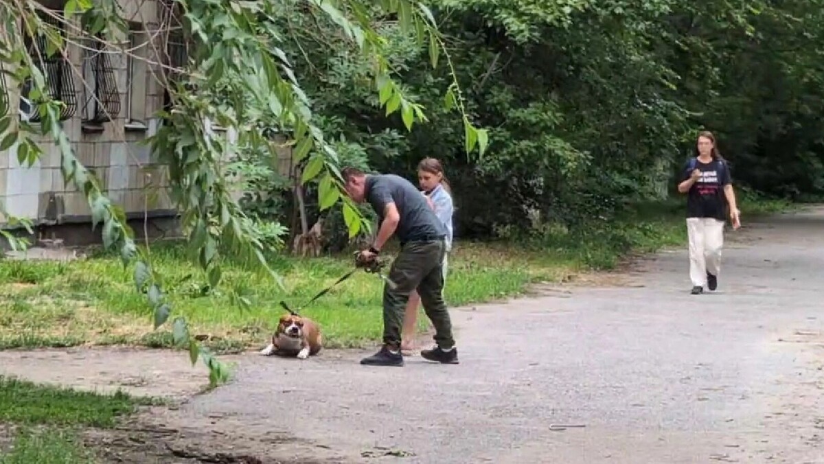     Источник: t.me/abuwtf