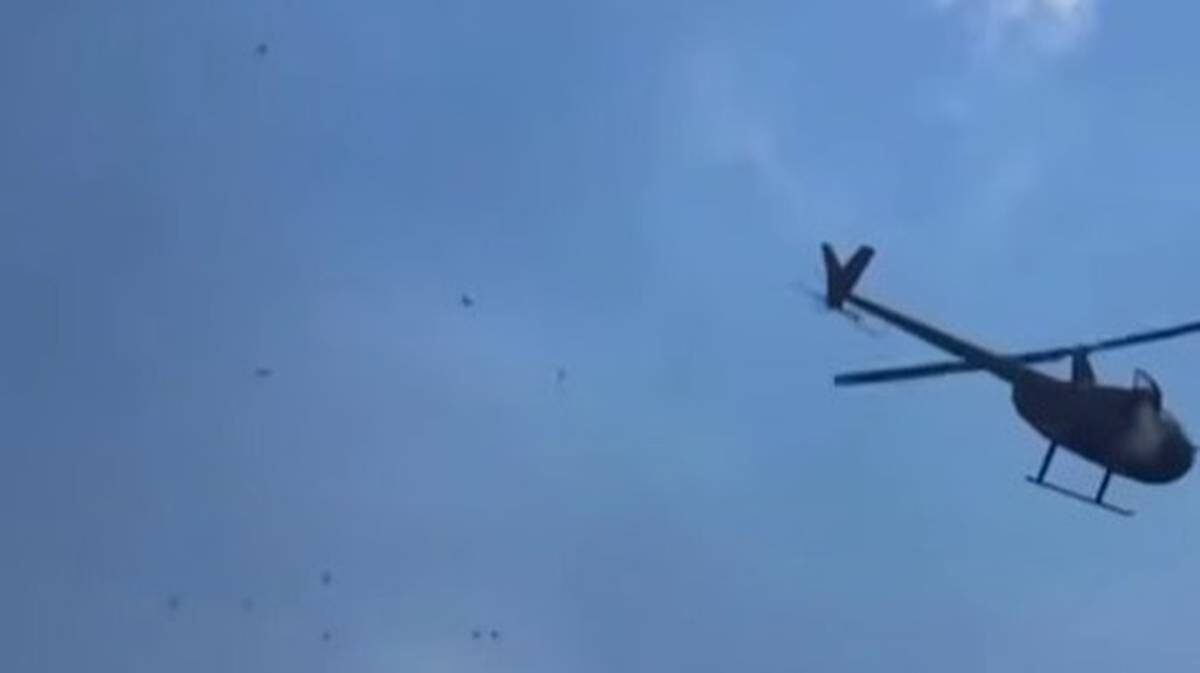    Фото: Скриншот с видео / Telegram / Shot