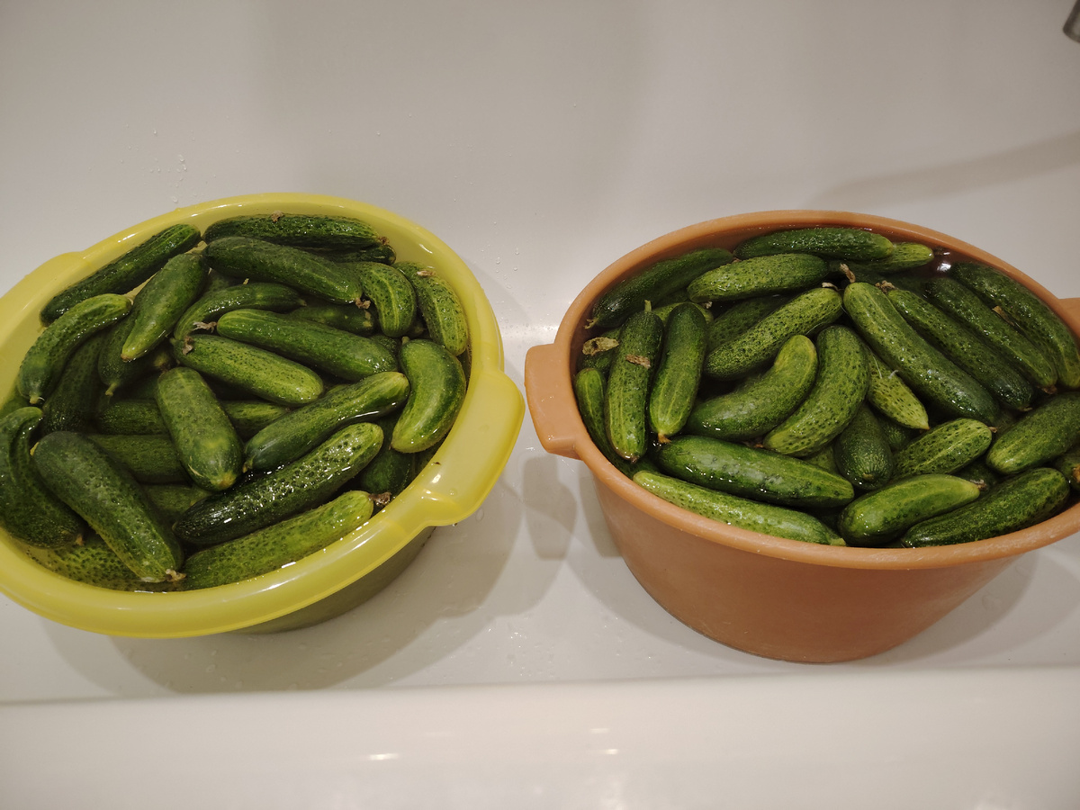 Фото автора канала