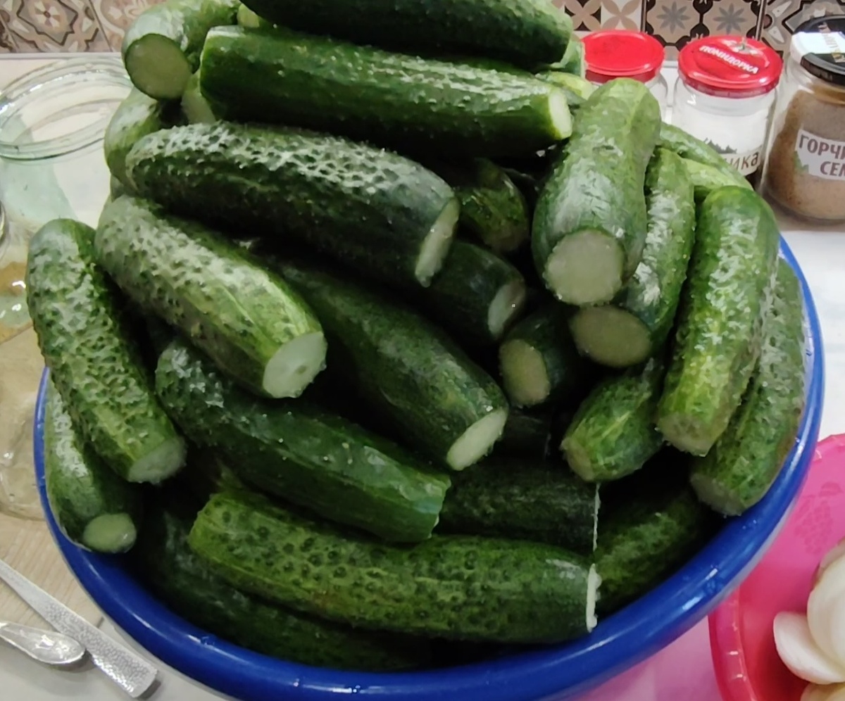 Фото автора канала