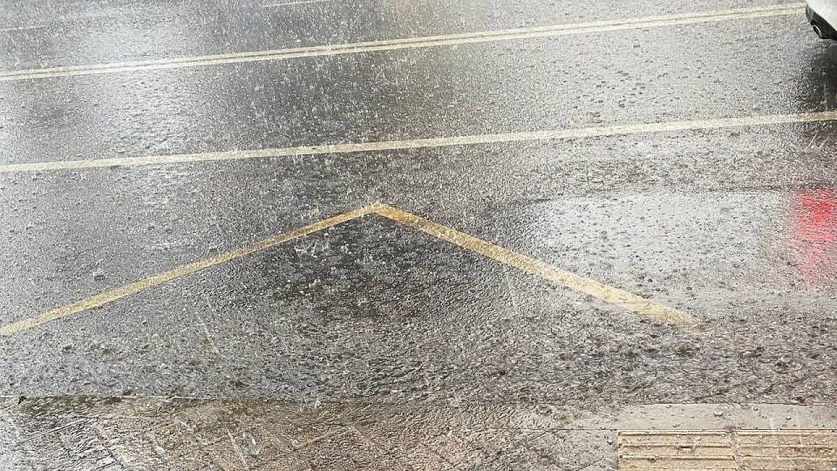    Фото: телеканал «Краснодар»