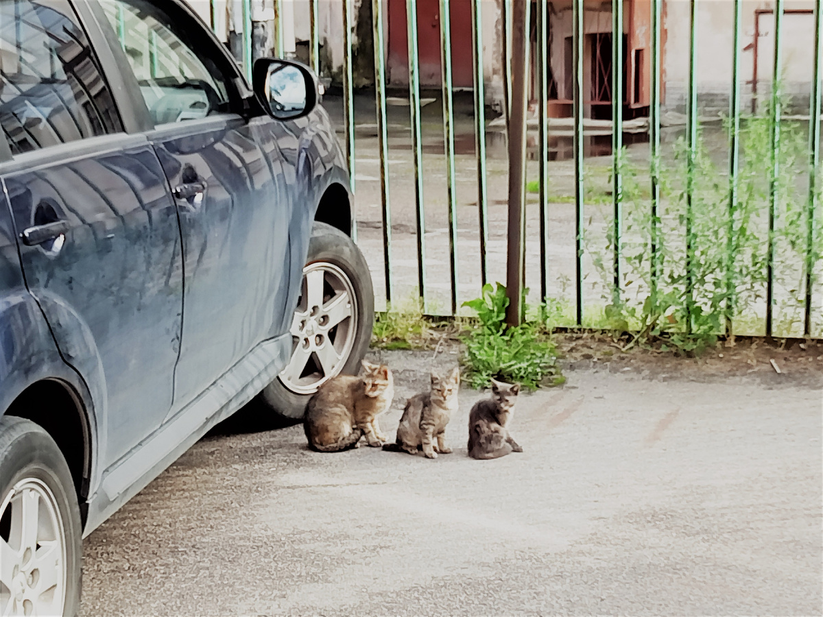 Фото автора