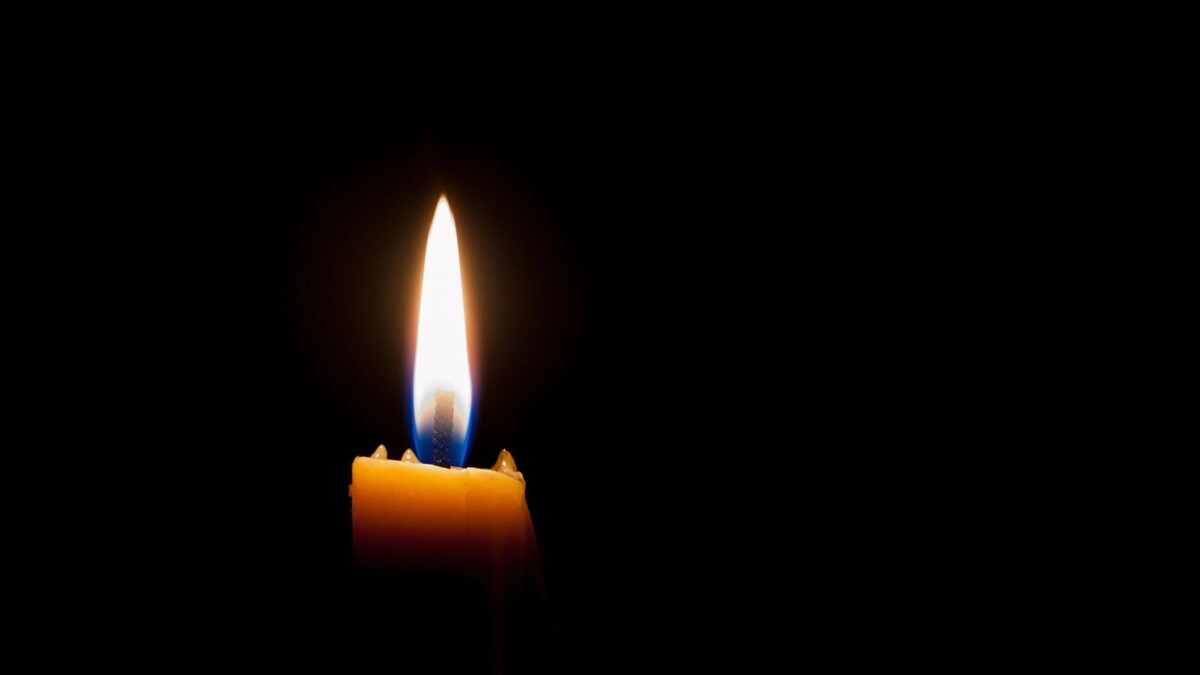    Фото: Yurii Klymko/Shutterstock/Fotodom