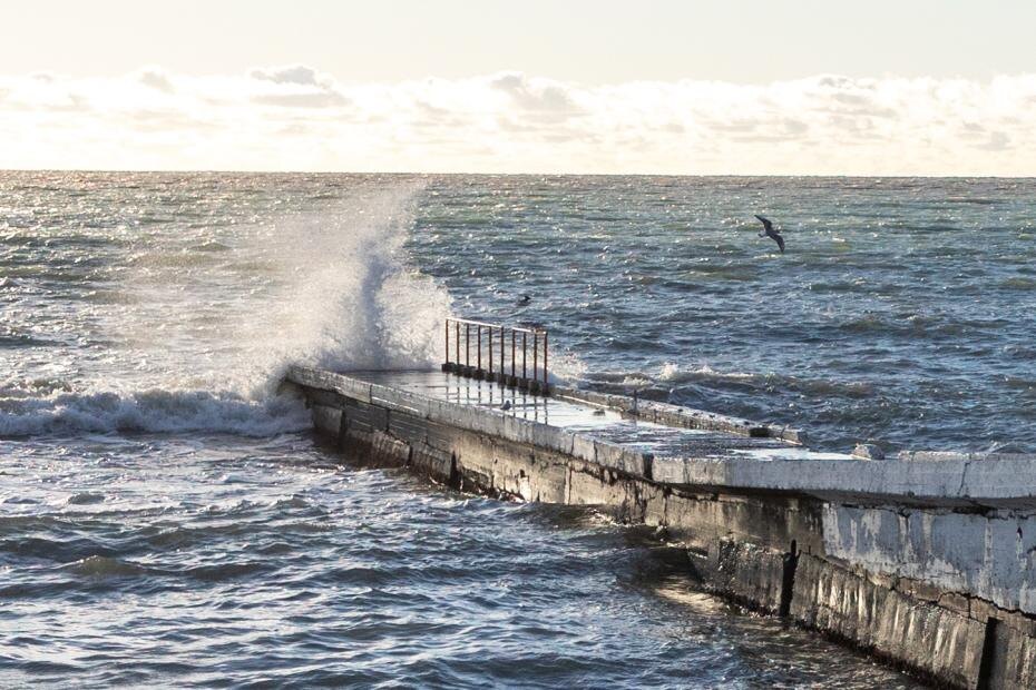    Сергей Петров/NEWS.ru