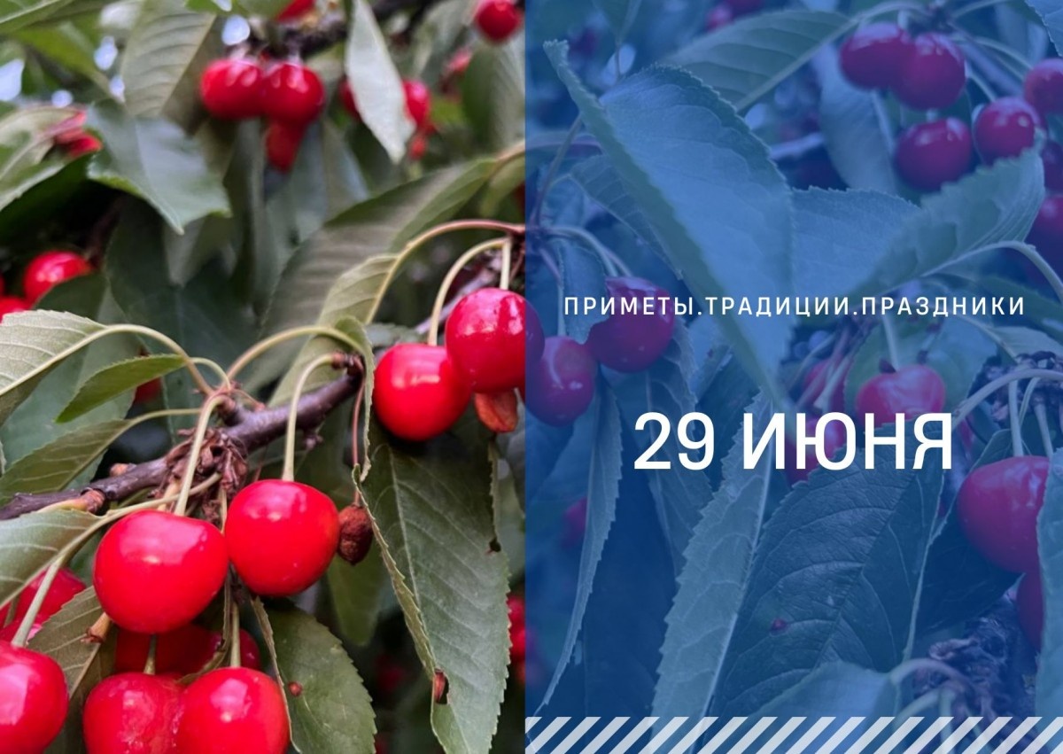   ГТРК "Ставрополье"