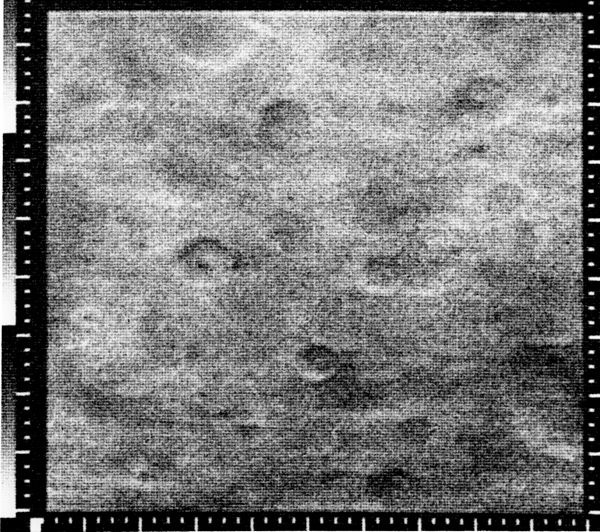 Первый снимок Марса