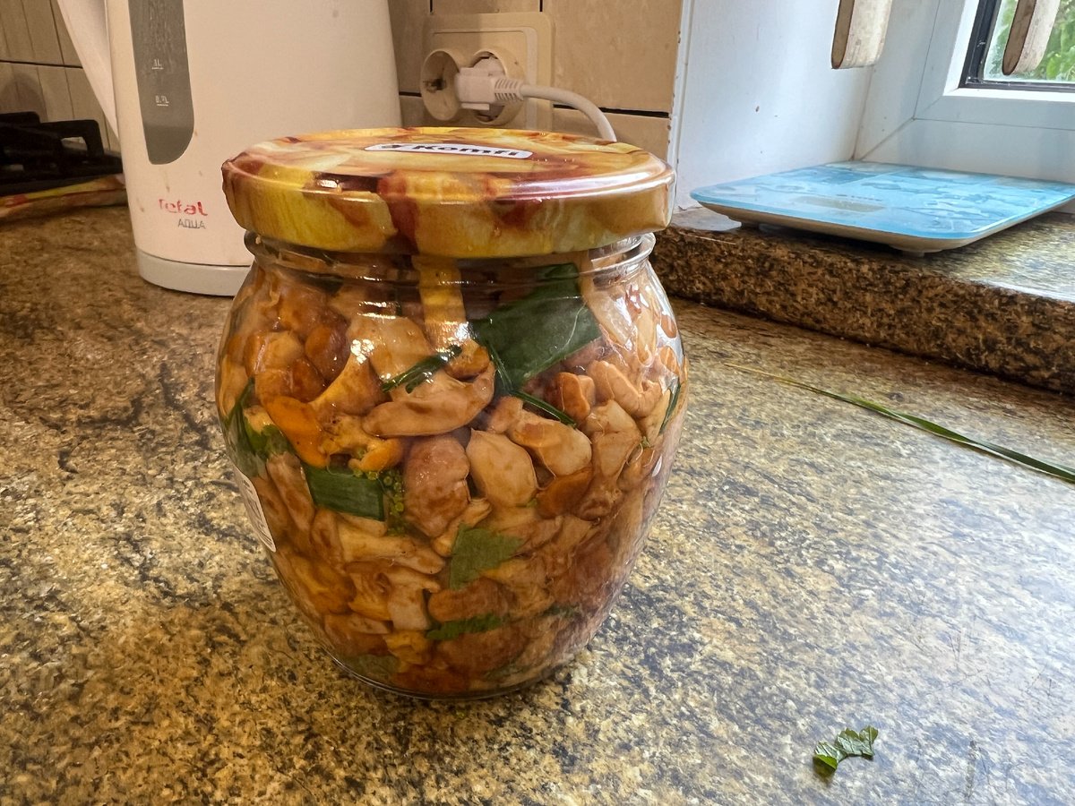 Моя первая баночка малосоленых грибов. Были только лисички, но и они вкусны в охотку. Сыроежки вкуснее и привычнее, но еще не росли. 18.06.25