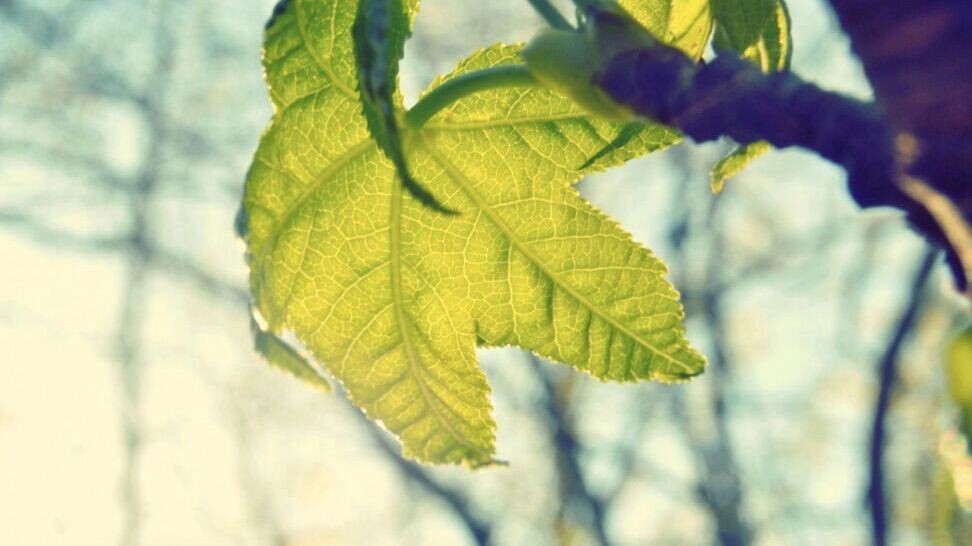     Источник: pxhere.com