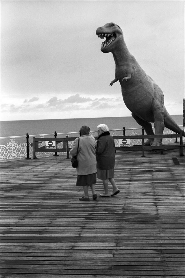 Фотограф Дэвид Гибсон