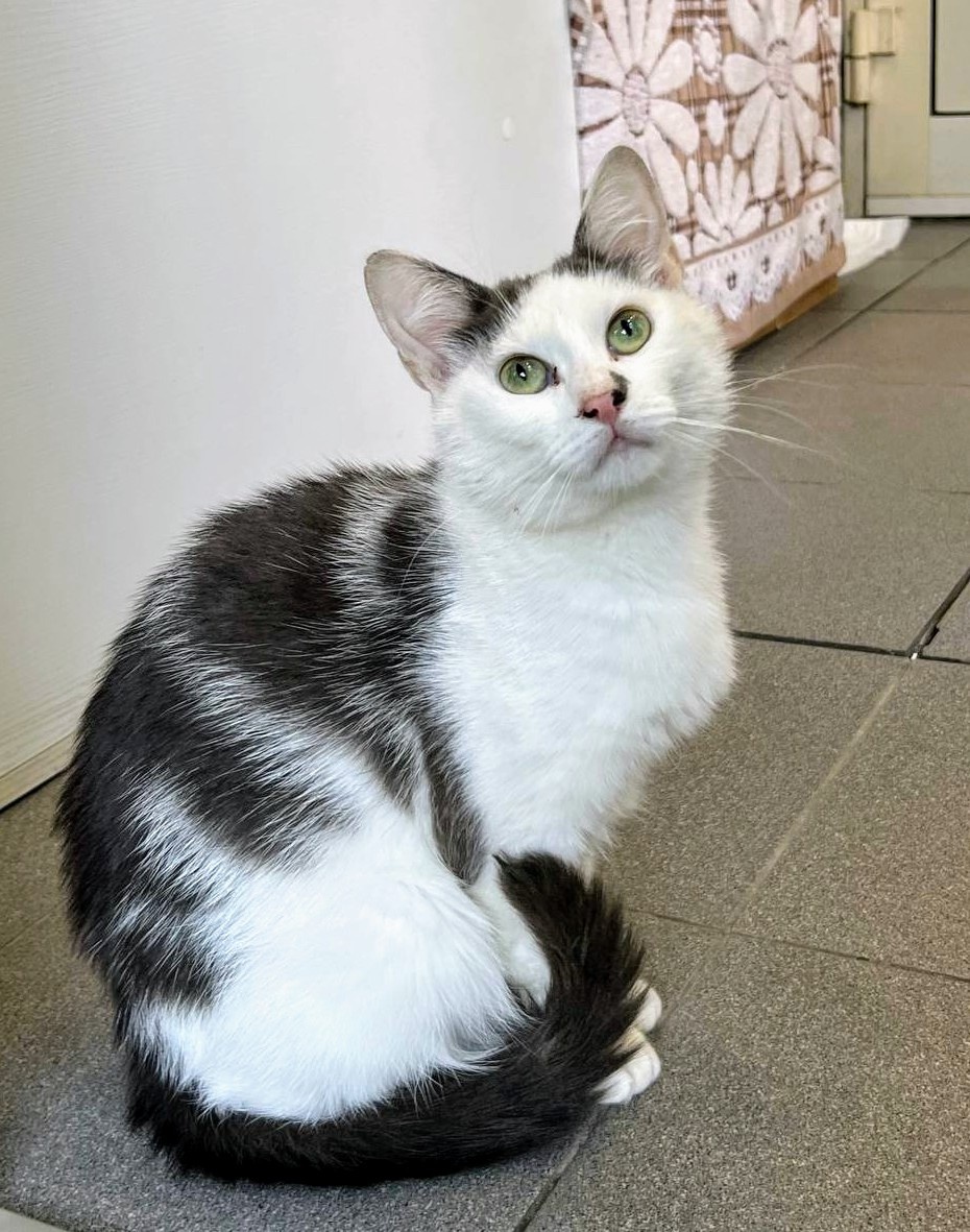 Самая милая на свете Пчела