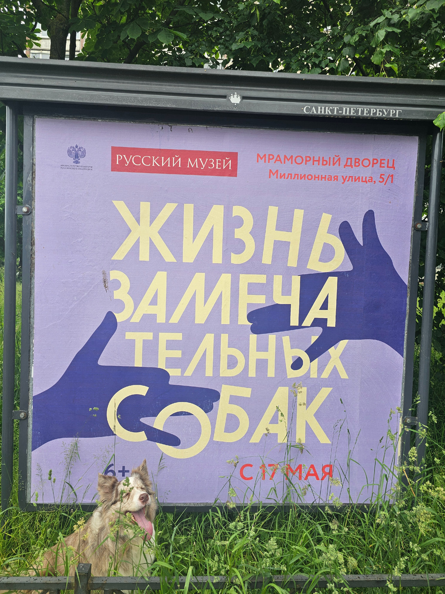 Все начинается с Фрейи